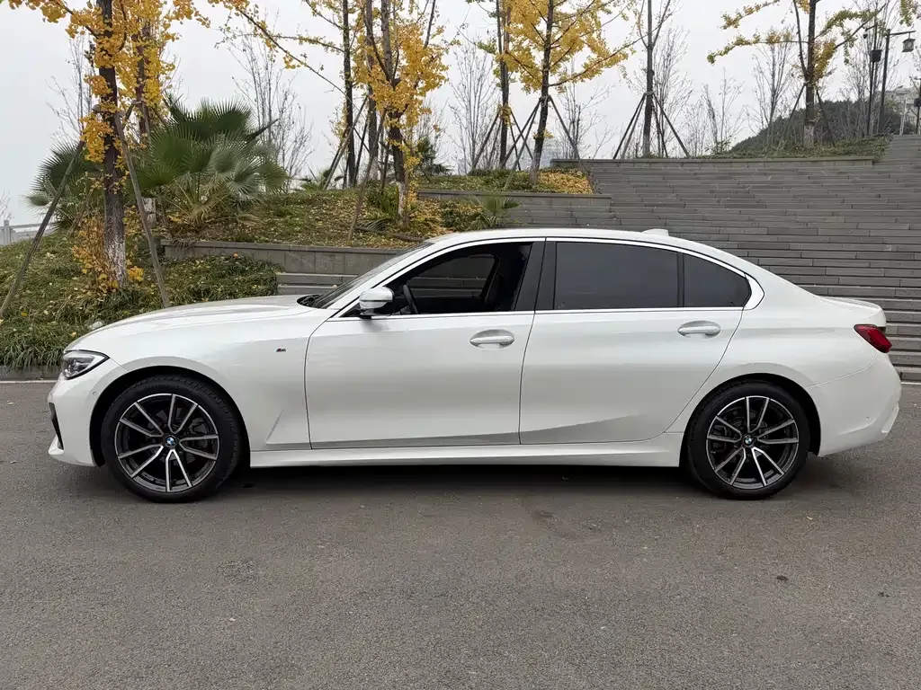 BMW 3 Series 2021 из CN, фото 8