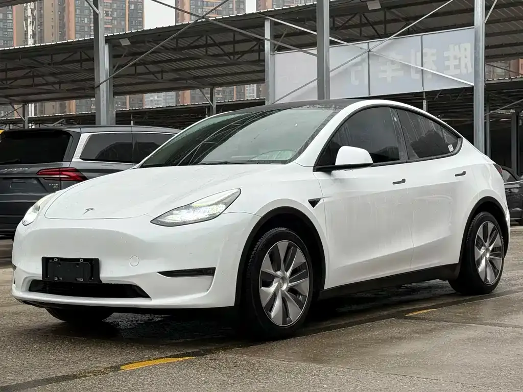 Tesla Model Y — фото 1