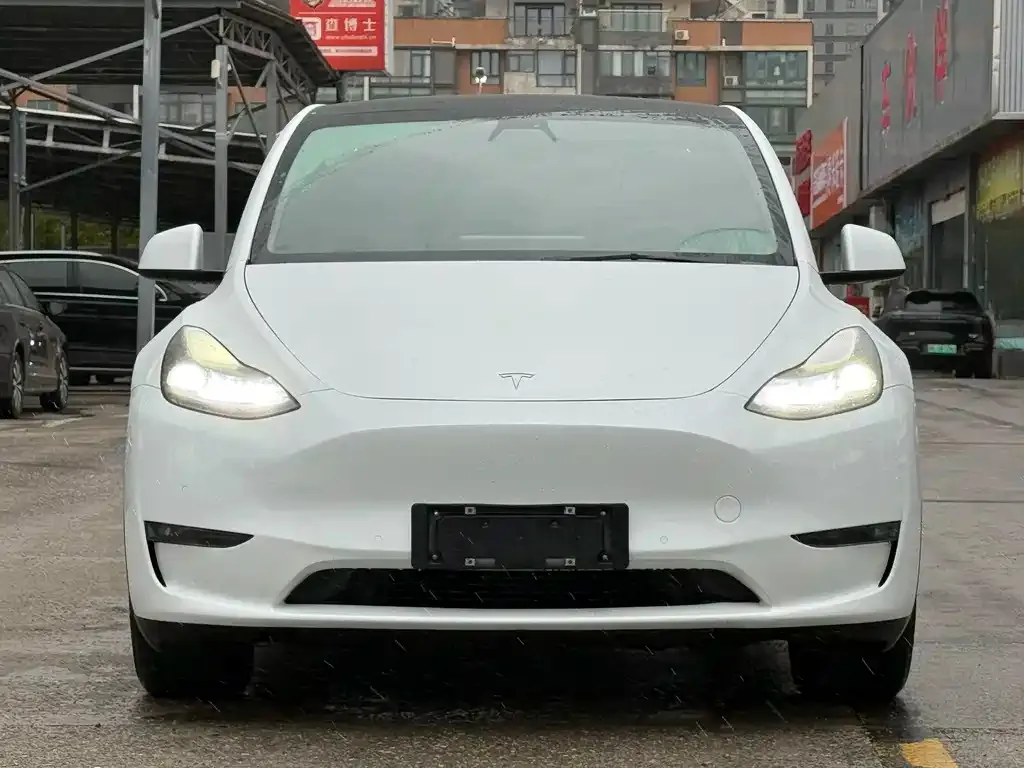 Tesla Model Y — фото 3