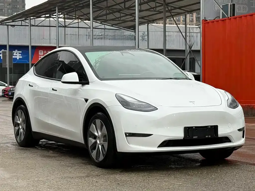 Tesla Model Y — фото 5