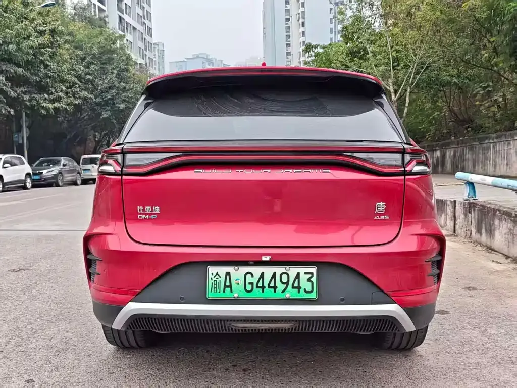 BYD Tang New Energy 2022 из CN, фото 7