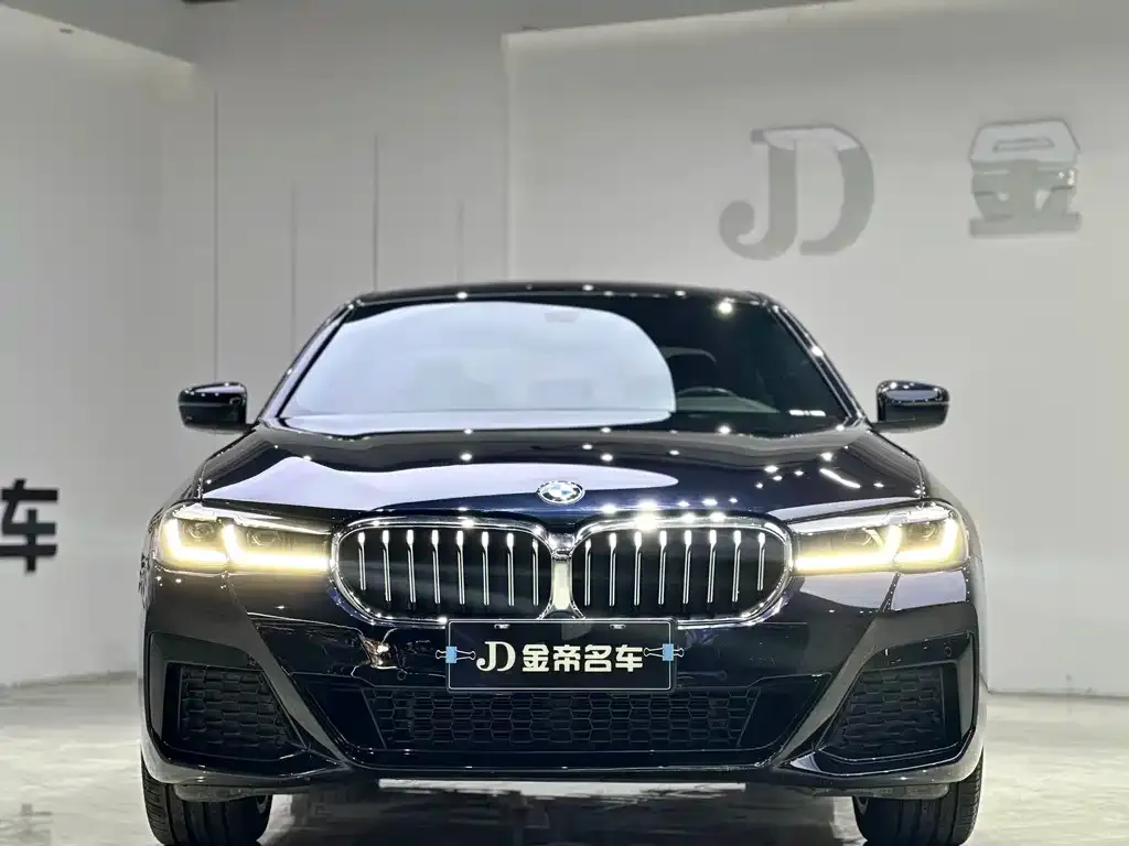 BMW 5 Series 2023 из CN, фото 3
