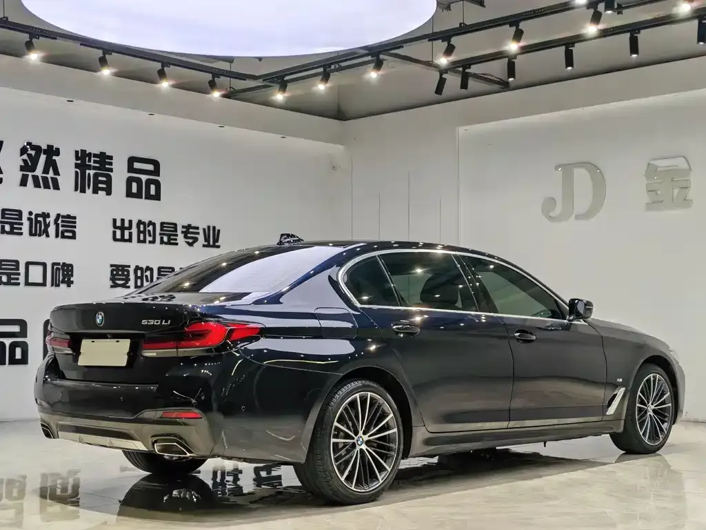 BMW 5 Series 2023 из CN, фото 6