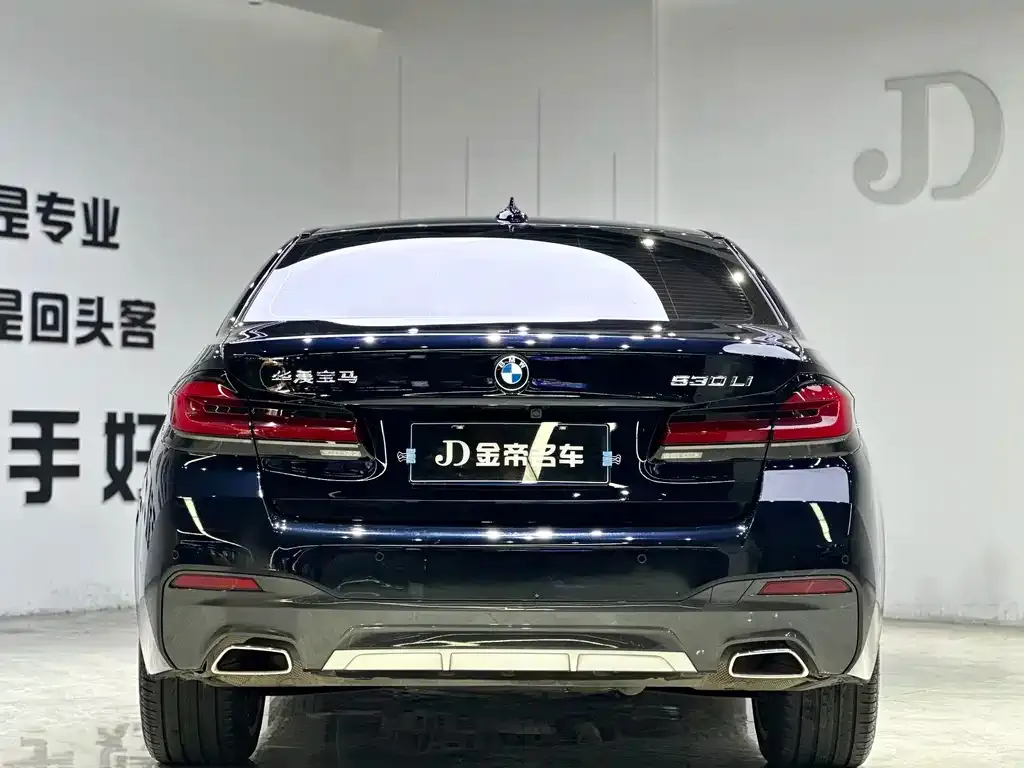 BMW 5 Series 2023 из CN, фото 5