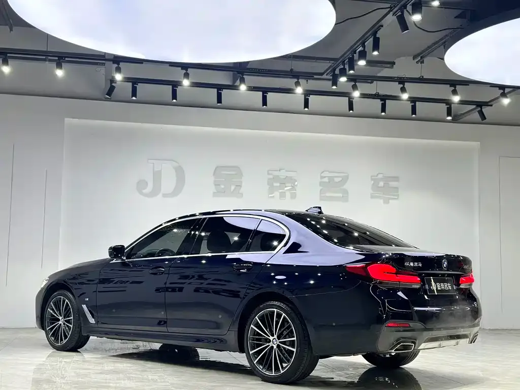 BMW 5 Series 2023 из CN, фото 2