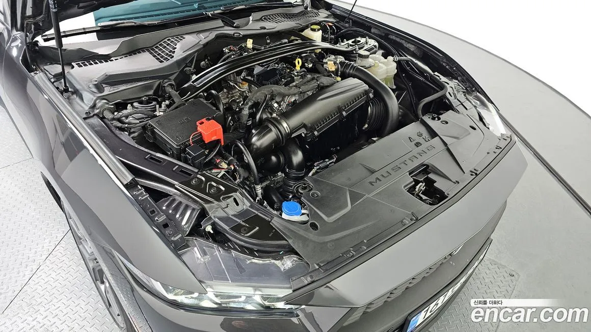 Ford Mustang 2024 из KR, фото 7