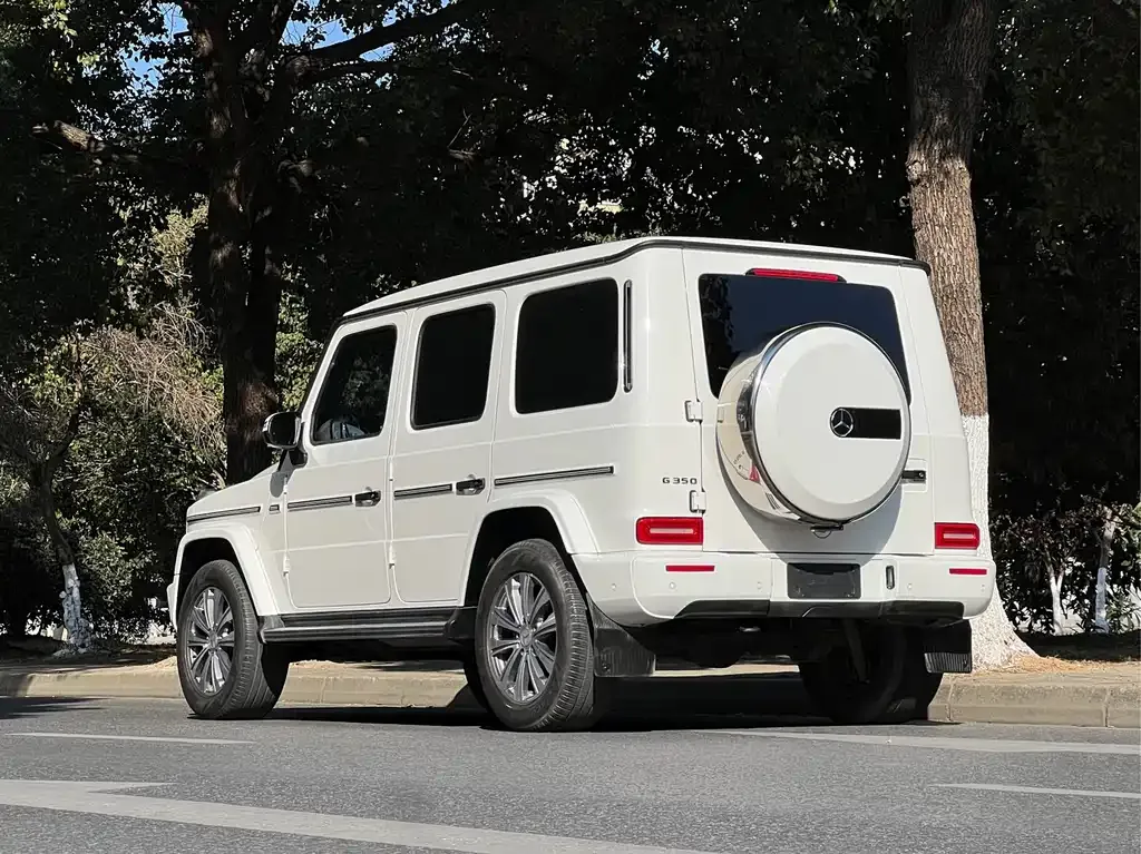 Mercedes-Benz G-Class — фото 10