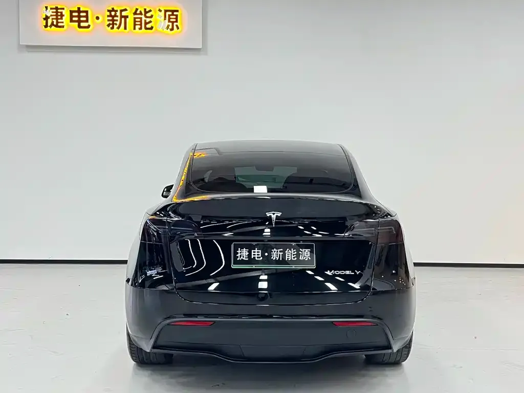 Tesla Model Y — фото 2
