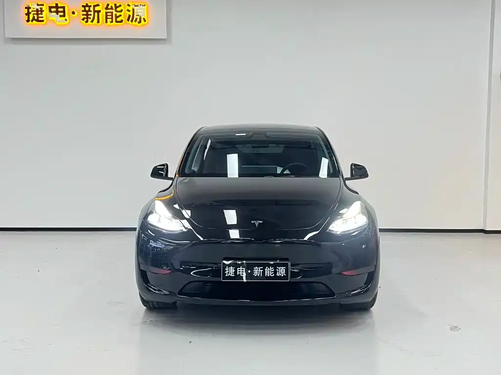 Tesla Model Y — фото 9
