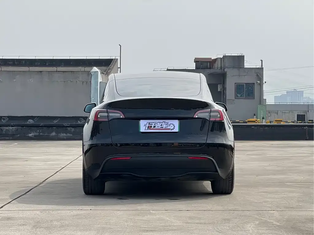 Tesla Model Y 2022 из CN, фото 6