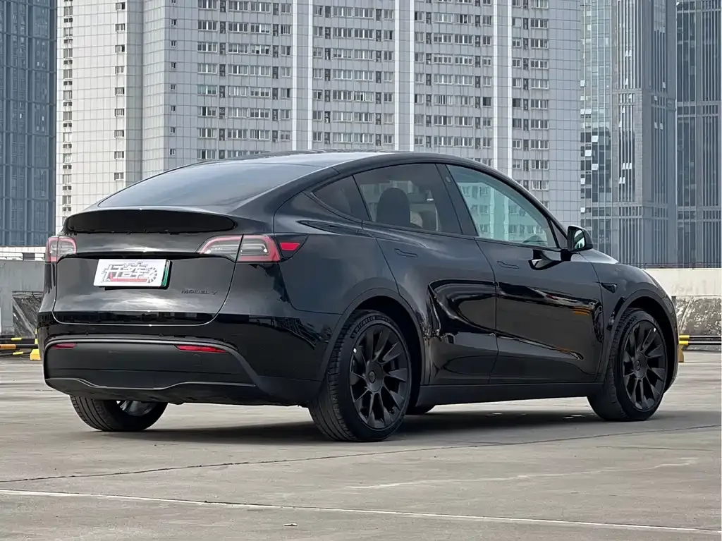 Tesla Model Y 2022 из CN, фото 7