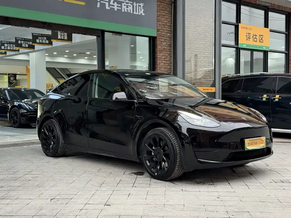Tesla Model Y — фото 9