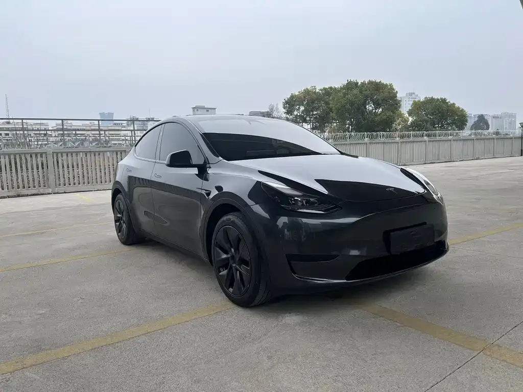 Tesla Model Y 2024 из CN, фото 2