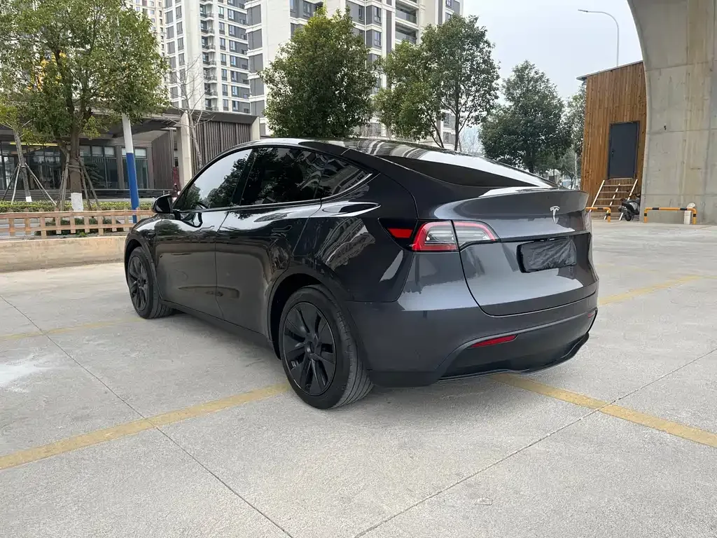 Tesla Model Y 2024 из CN, фото 6