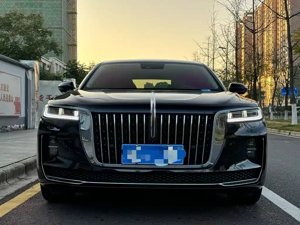 Hongqi H9 2022 из CN, фото 3
