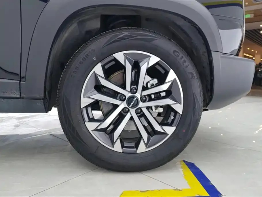 Haval Big Dog 2024 из CN, фото 2