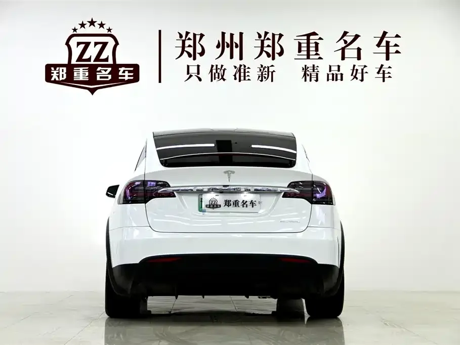 Tesla Model X 2021 из CN, фото 2