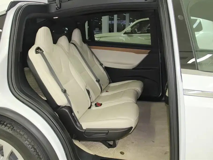 Tesla Model X 2021 из CN, фото 5