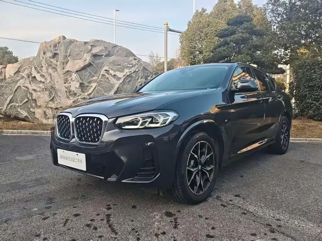 BMW X4 — фото 1