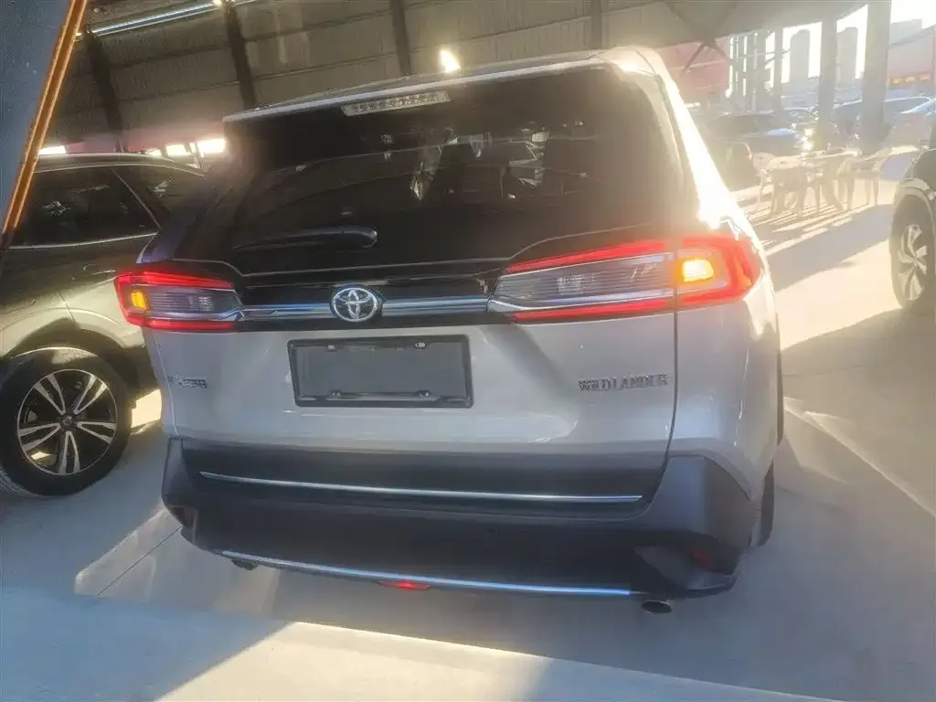 Toyota Wildlander 2021 из CN, фото 6