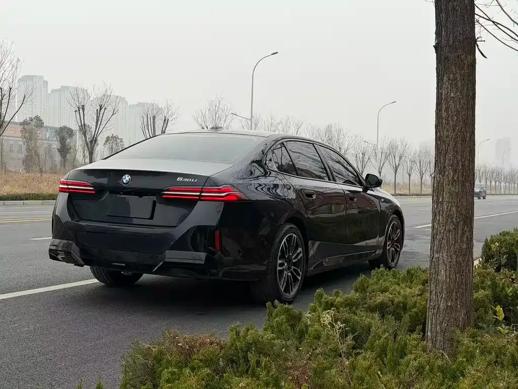 BMW 5 Series 2025 из CN, фото 8