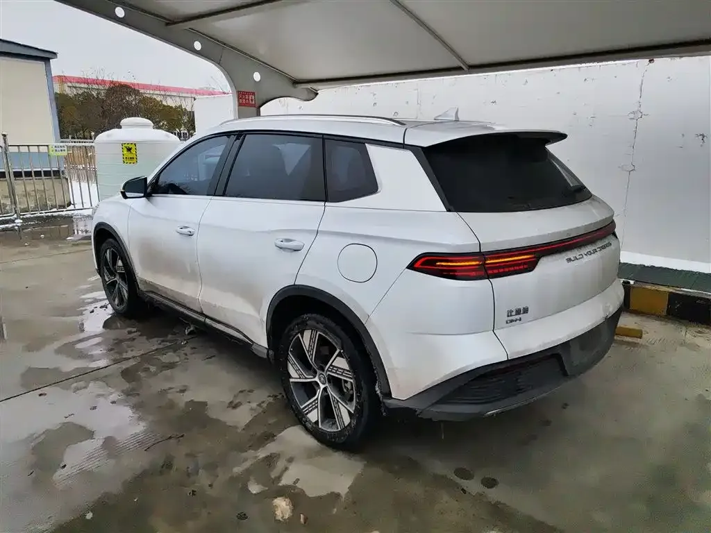 BYD Pro New Energy — фото 4