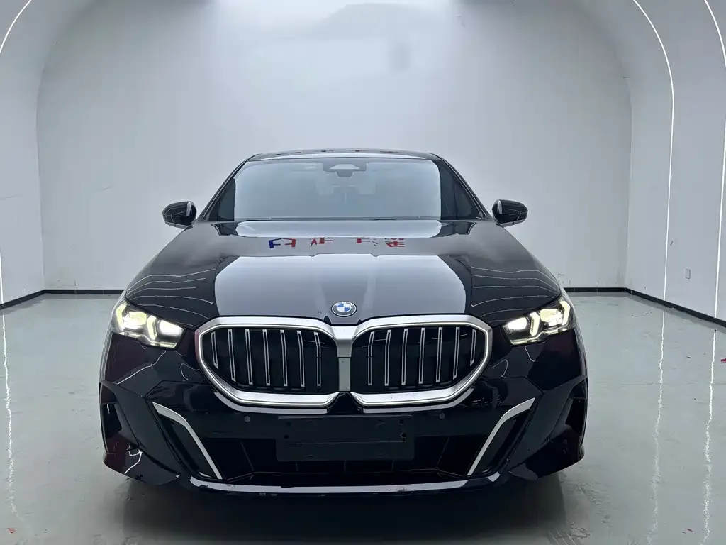 BMW 5 Series 2024 из CN, фото 7