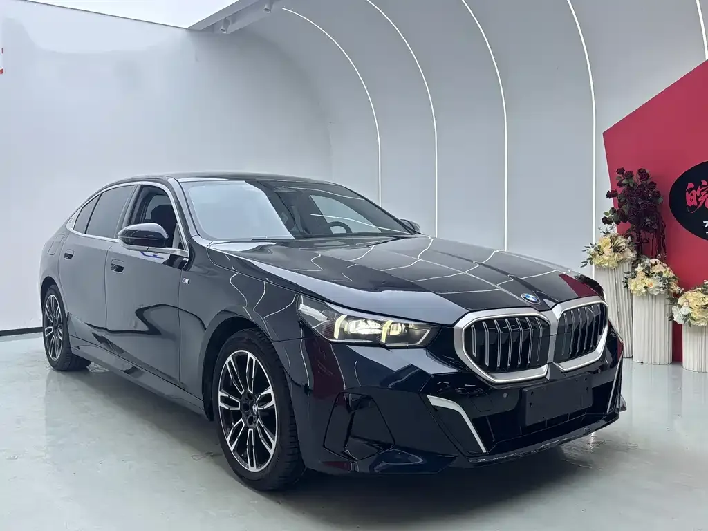BMW 5 Series 2024 из CN, фото 8