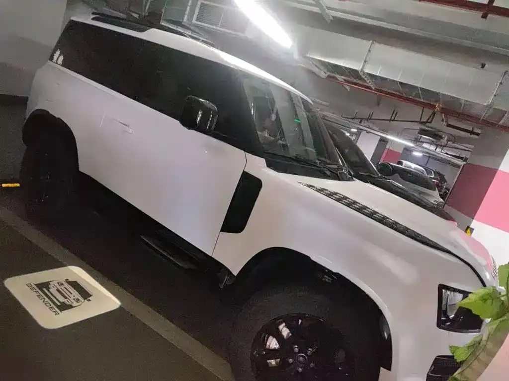 Land Rover Defender 2023 из CN, фото 2