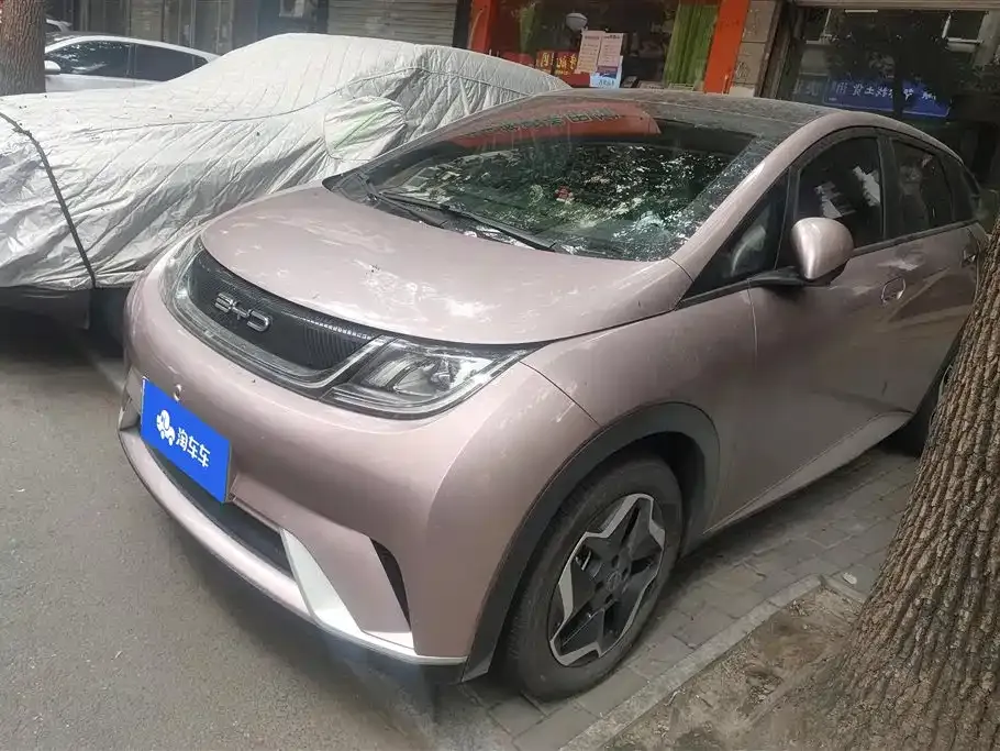 BYD Dolphin 2023 из CN, фото 1