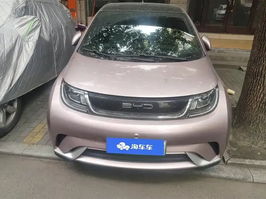 BYD Dolphin 2023 из CN, фото 10