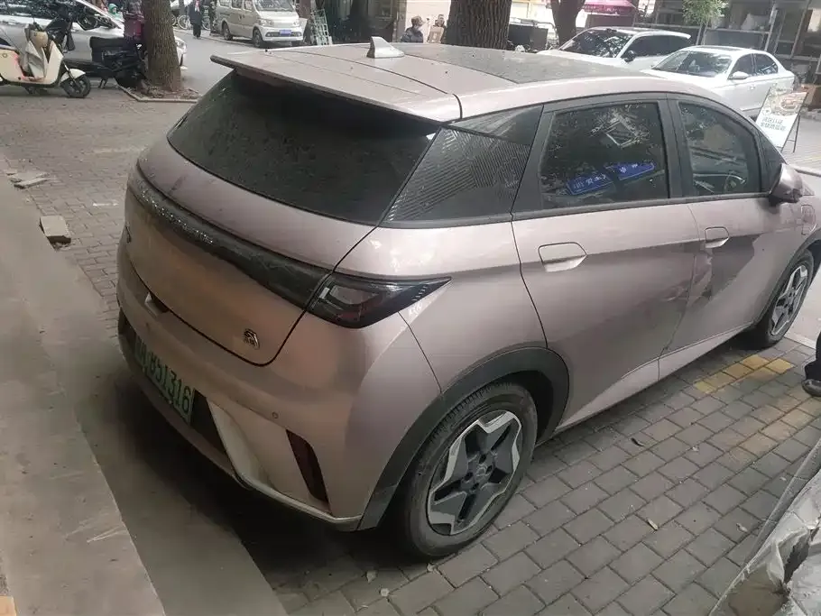 BYD Dolphin 2023 из CN, фото 8