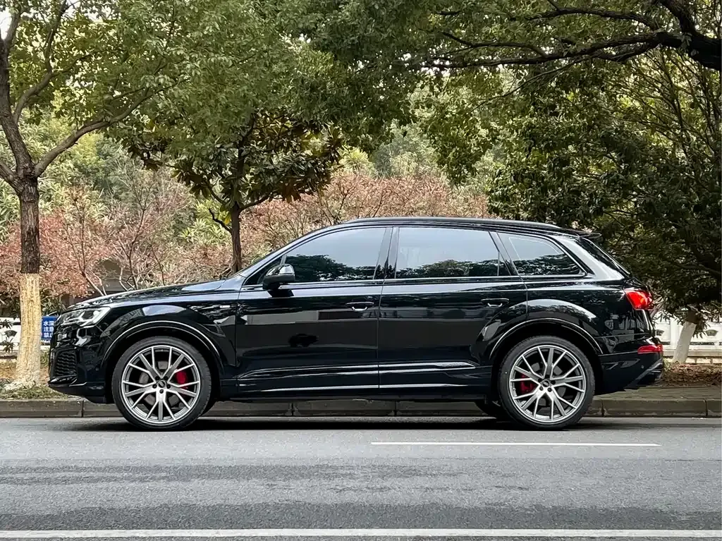 Audi Q7 — фото 10