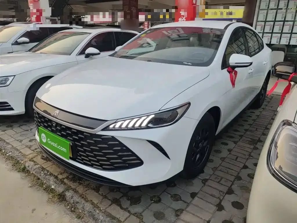 BYD Qin PLUS — фото 1