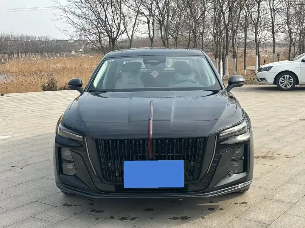 Hongqi H5 2025 из CN, фото 3