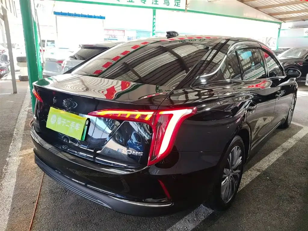 Hongqi E-QM5 — фото 10
