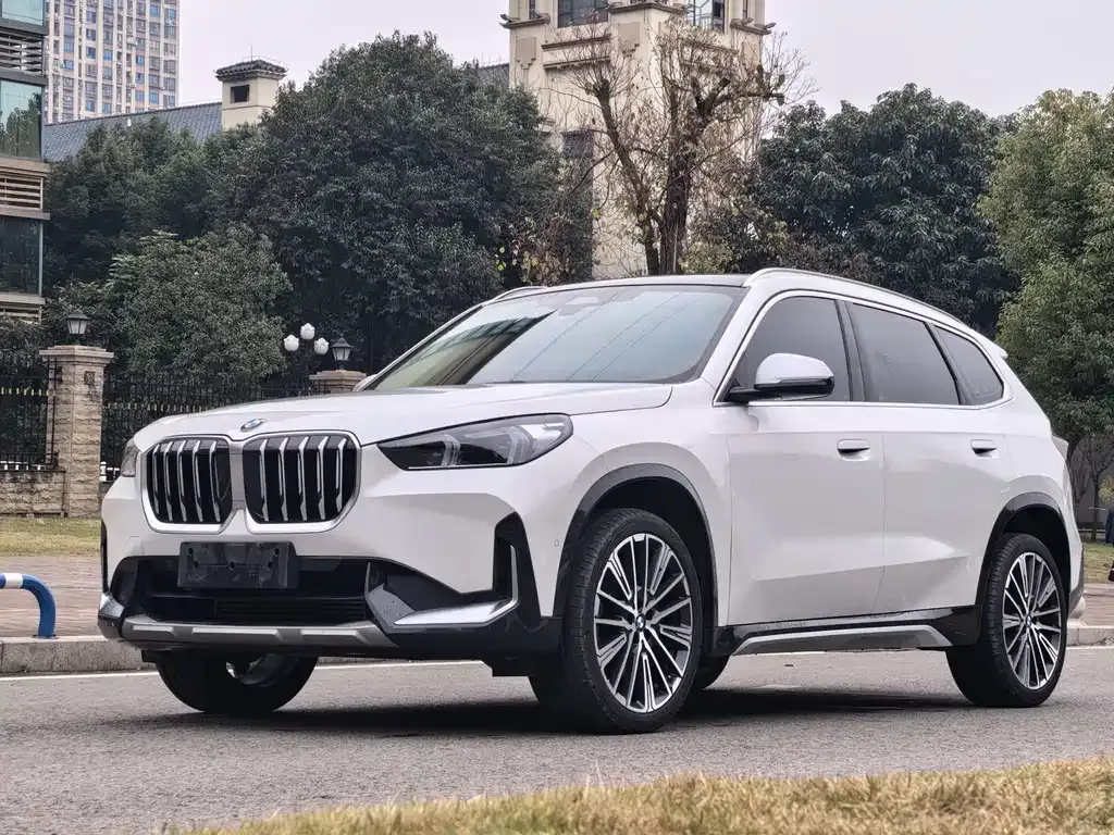 BMW X1 — фото 1