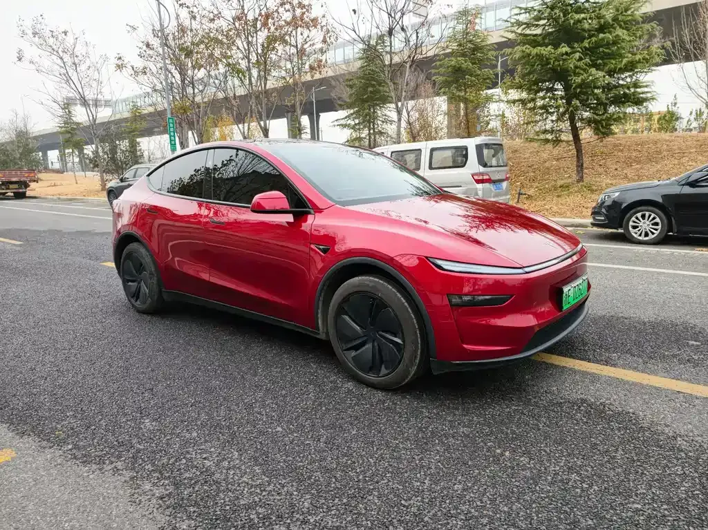 Tesla Model Y 2025 из CN, фото 6