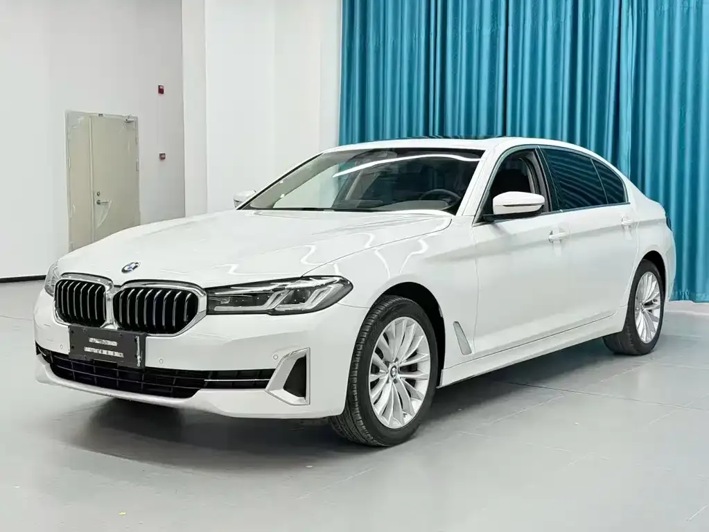 BMW 5 Series 2022 из CN, фото 6