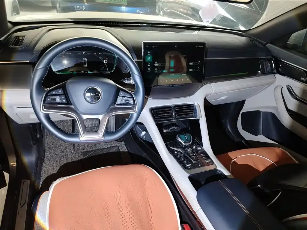 BYD PLUS New Energy 2022 из CN, фото 10