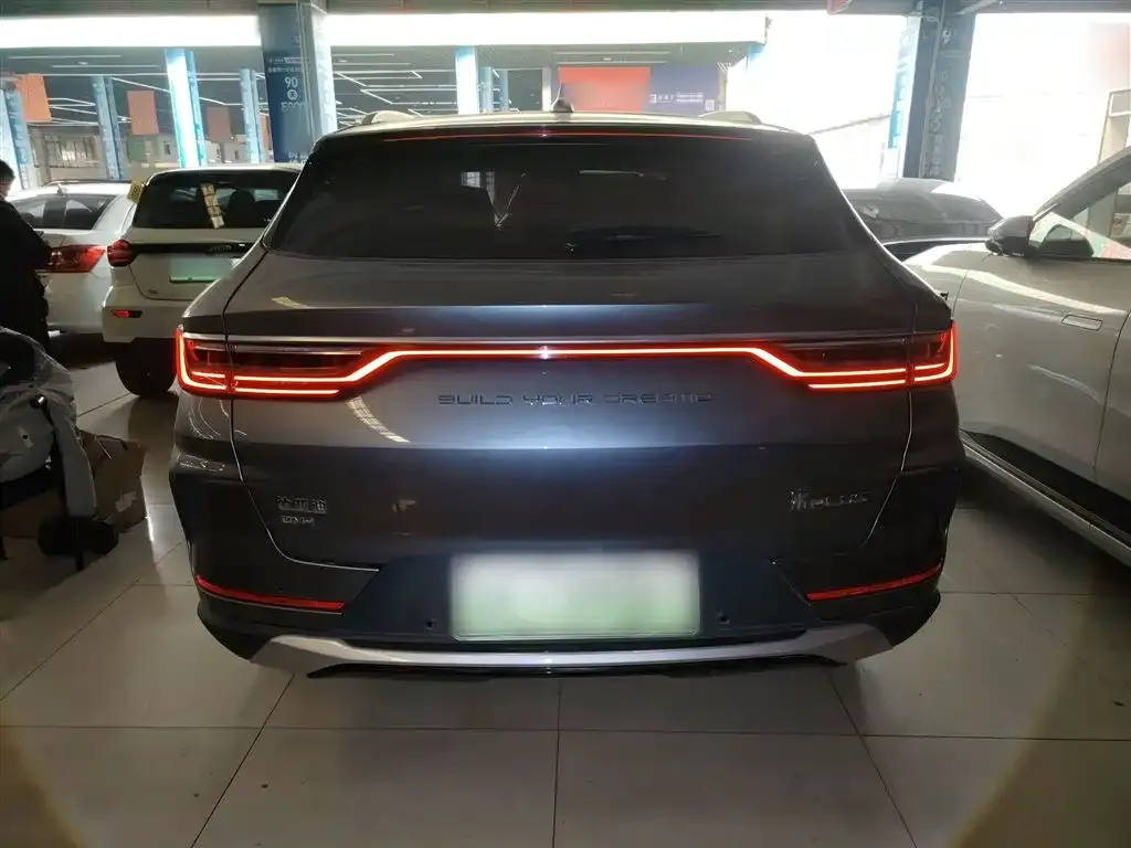 BYD PLUS New Energy 2022 из CN, фото 2