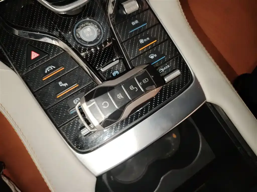 BYD PLUS New Energy 2022 из CN, фото 4