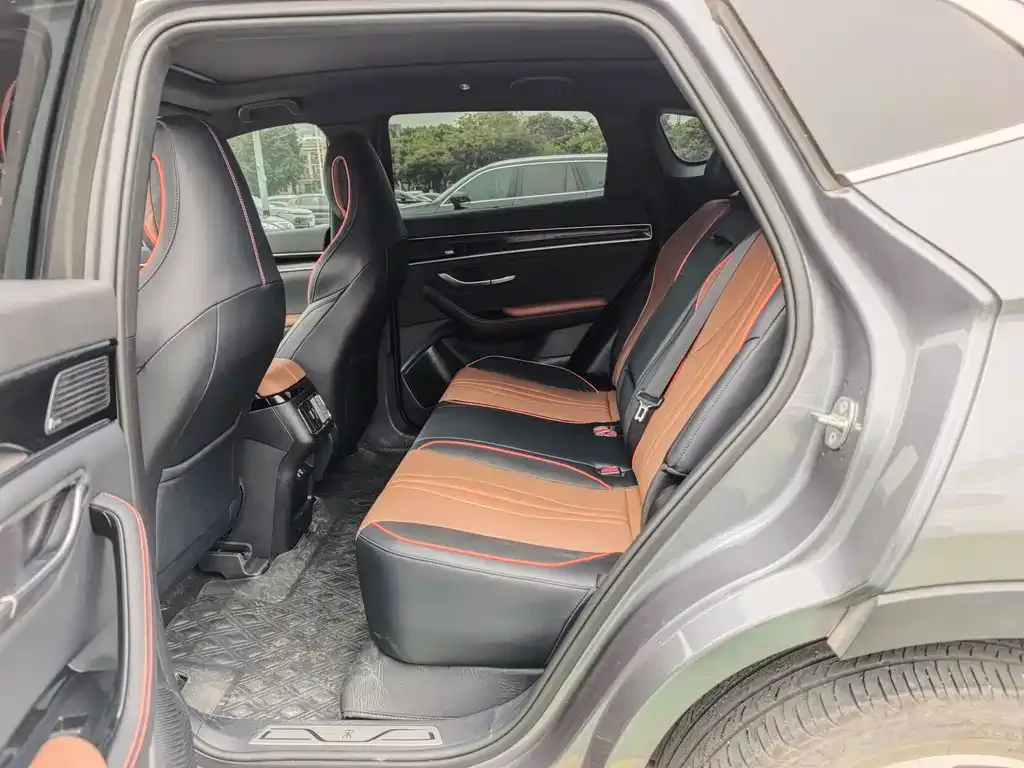 BYD PLUS New Energy 2022 из CN, фото 2
