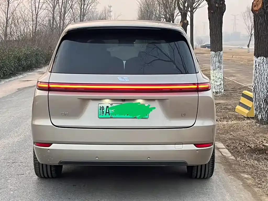 Li Auto L9 2022 из CN, фото 6