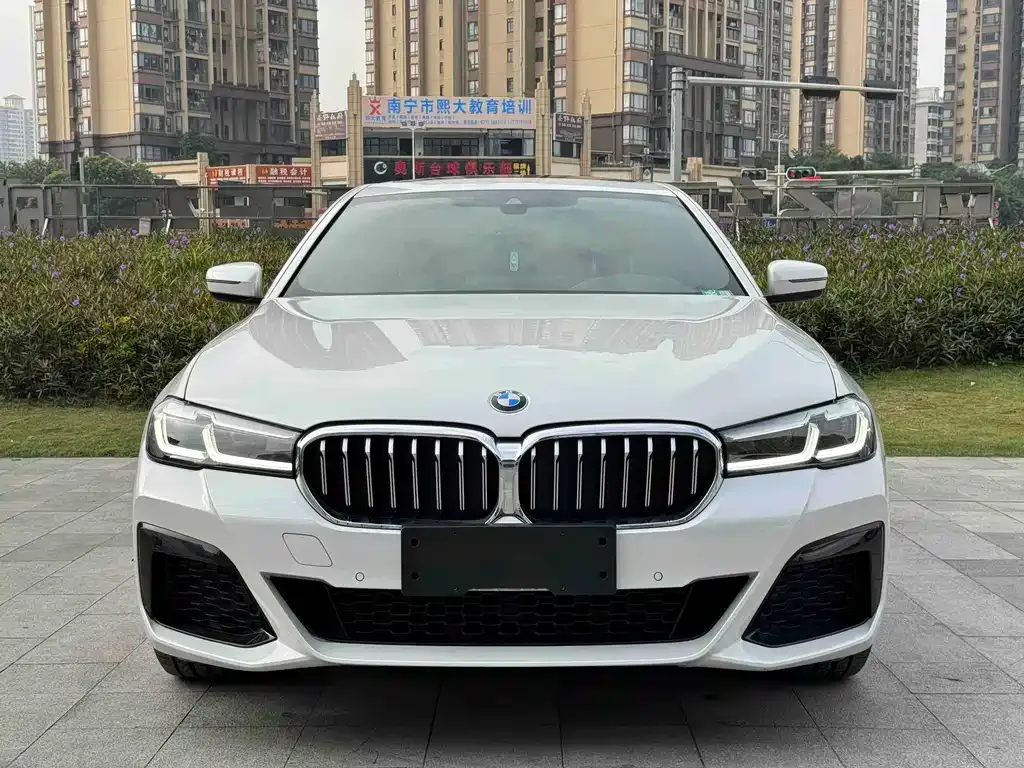 BMW 5 Series 2024 из CN, фото 8