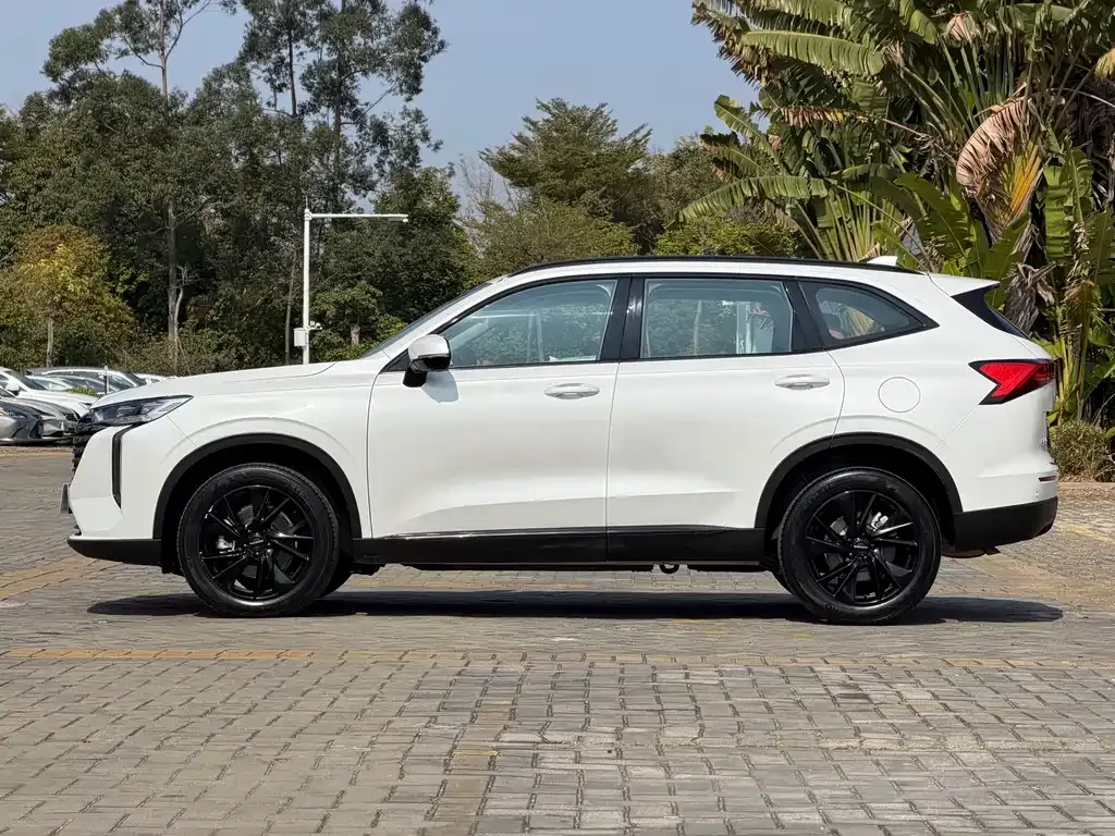 Haval H6 — фото 9