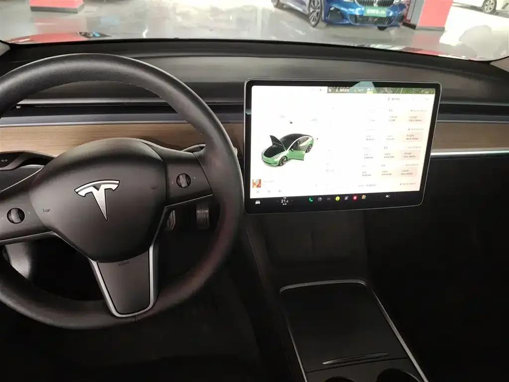 Tesla Model 3 2022 из CN, фото 6