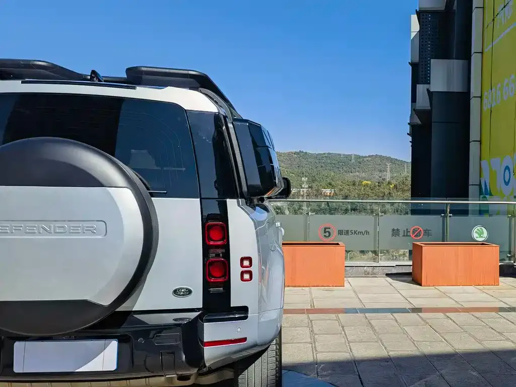 Land Rover Defender 2022 из CN, фото 9