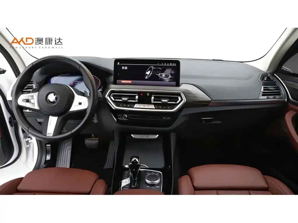 BMW X3 2023 из CN, фото 6
