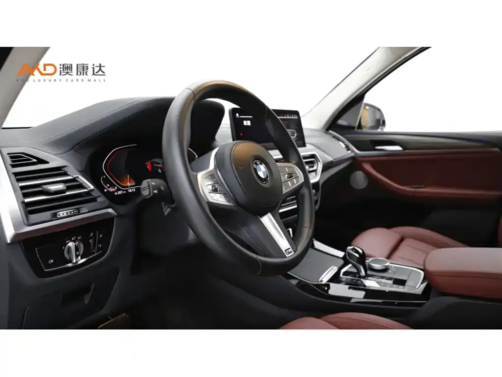 BMW X3 2023 из CN, фото 10
